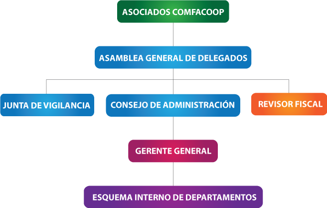 Organigrama Comfacoop
